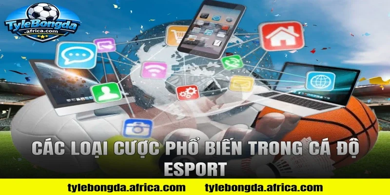 Các loại cược phổ biến trong Cá độ Esport